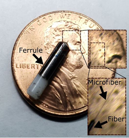 Closeup of a small capsule on top of a U.S. penny.