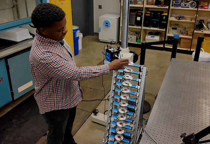 Person looking at a small ladder with each rung containing a white disk, with a lab in the background.