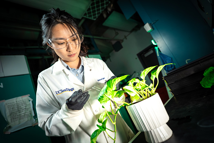 Woman in a white lab coat holds tweezers to pull a clear strip stuck on the leaf of a houseplant in a small white pot.