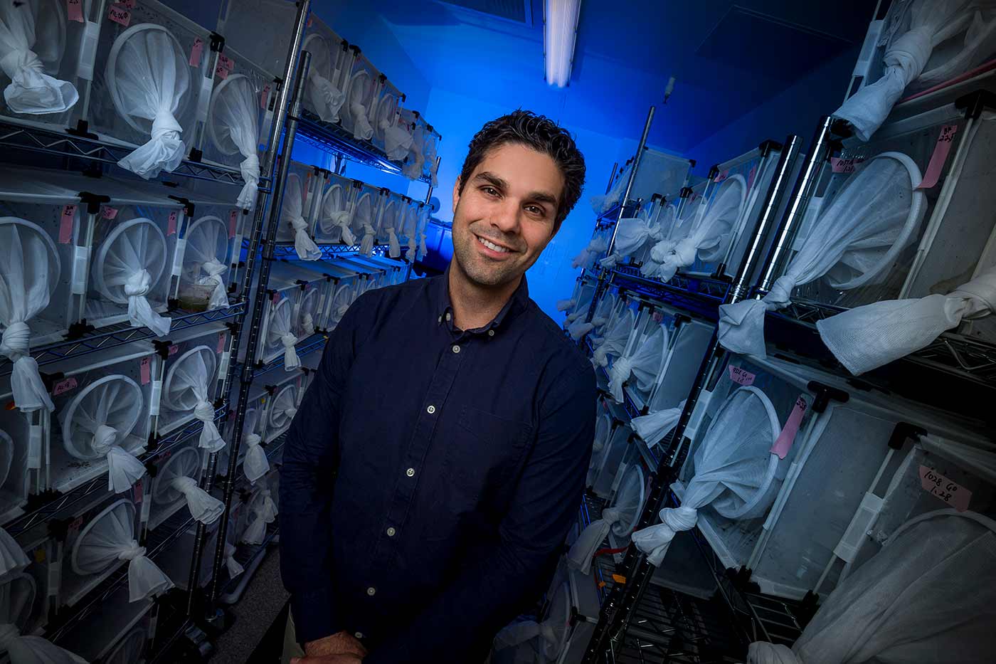 UC San Diego biologist Omar akbari