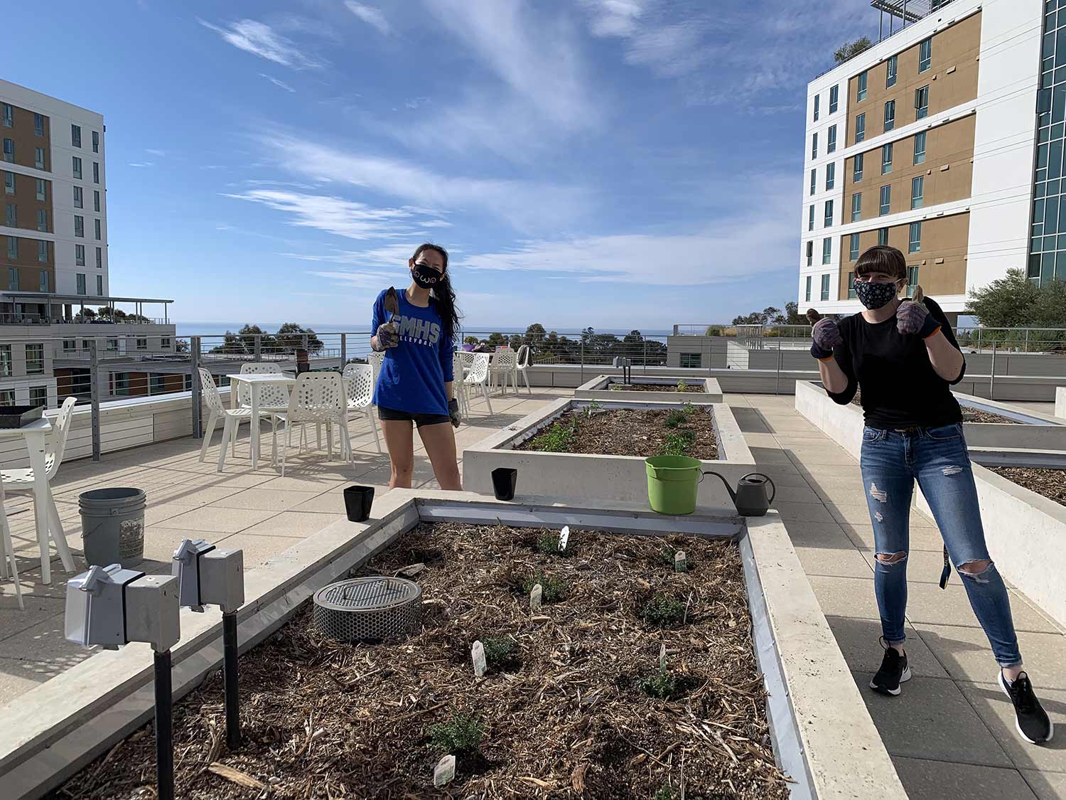 Student residents at Sixth College at Community Art Terrace Garden.