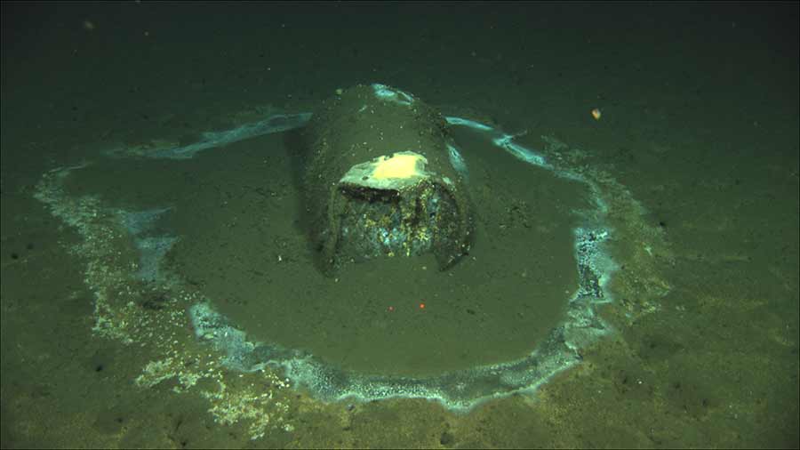 Barrelof DDT found off the coast of Santa Catalina Island.