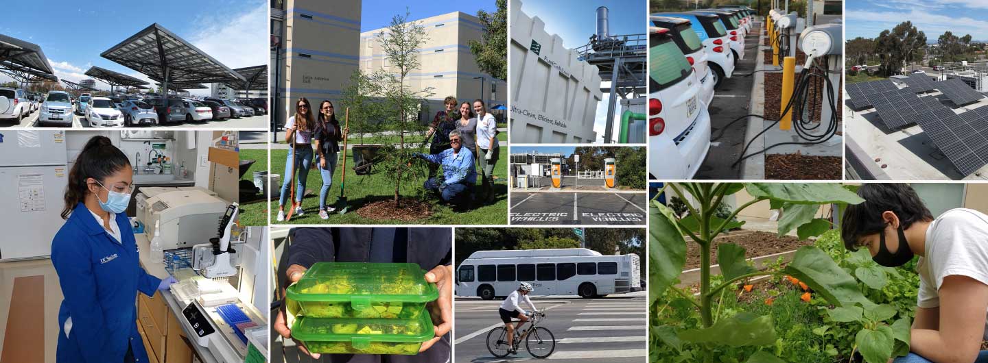 Collage of photos from UC San Diego's sustainability efforts.