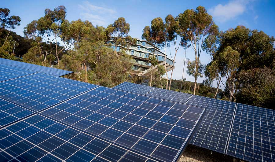 solar panels on campus.