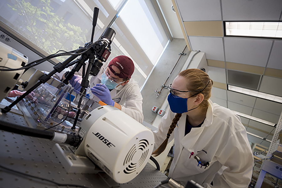 Students in the laboratory of UC San Diego bioengineering professor Daniela Valdez-Jasso.