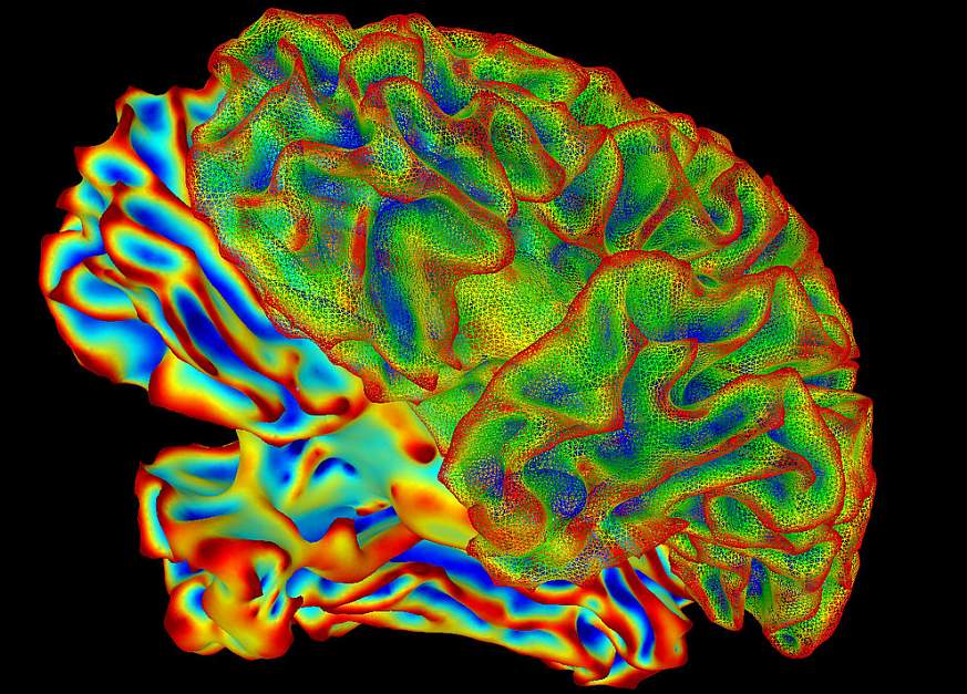 UC San Diego Receives $12.4M NIH Grant to Map the Human Nervous System