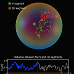 Quantitative Biology Approach Reveals Importance of Physical Constraints on Critical DNA Interaction