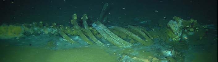 Second Seafloor Survey of Dumpsite off Coast of Southern California ...