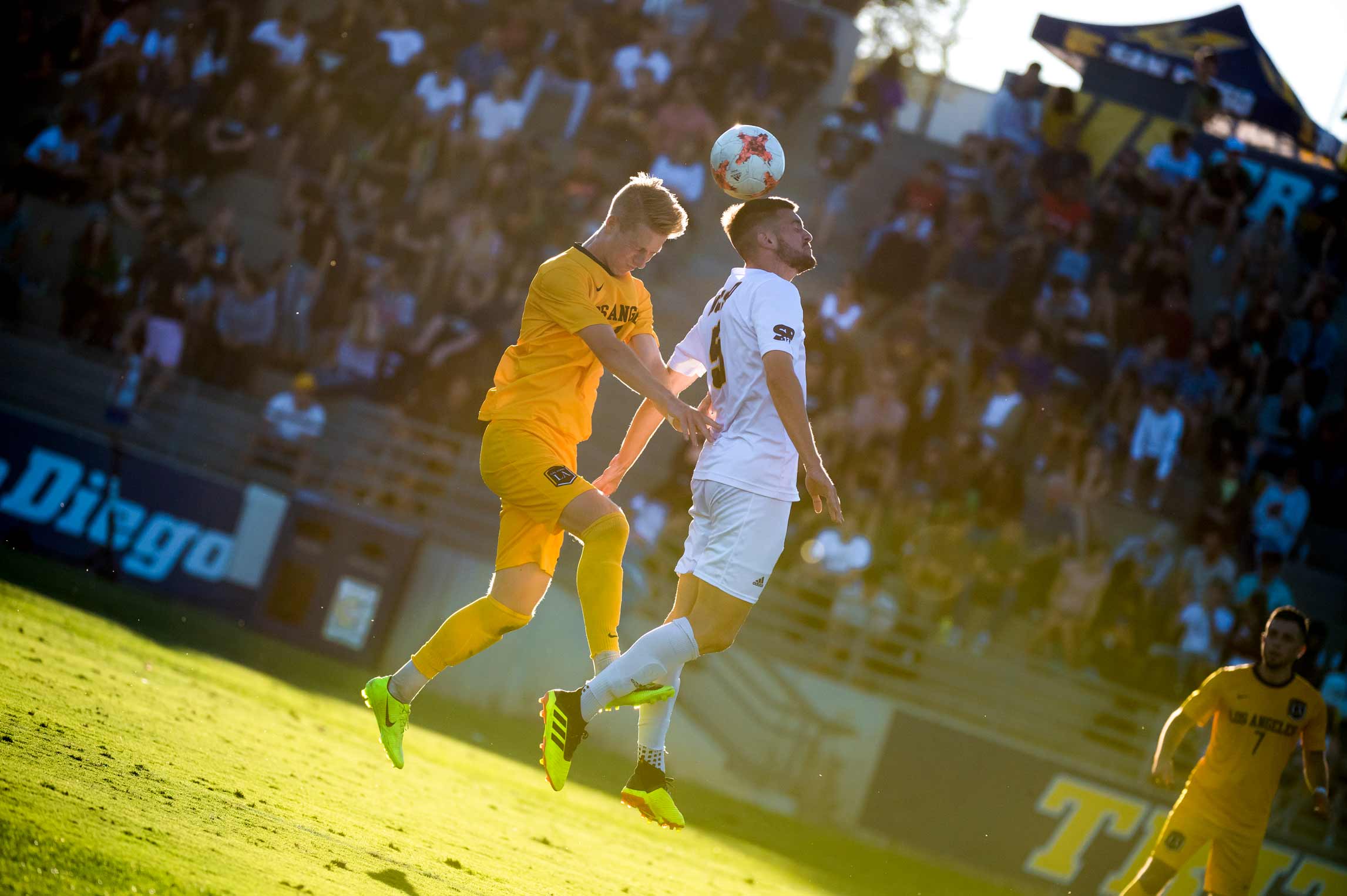 Slideshow: 2018-19 Athletic Year in Review