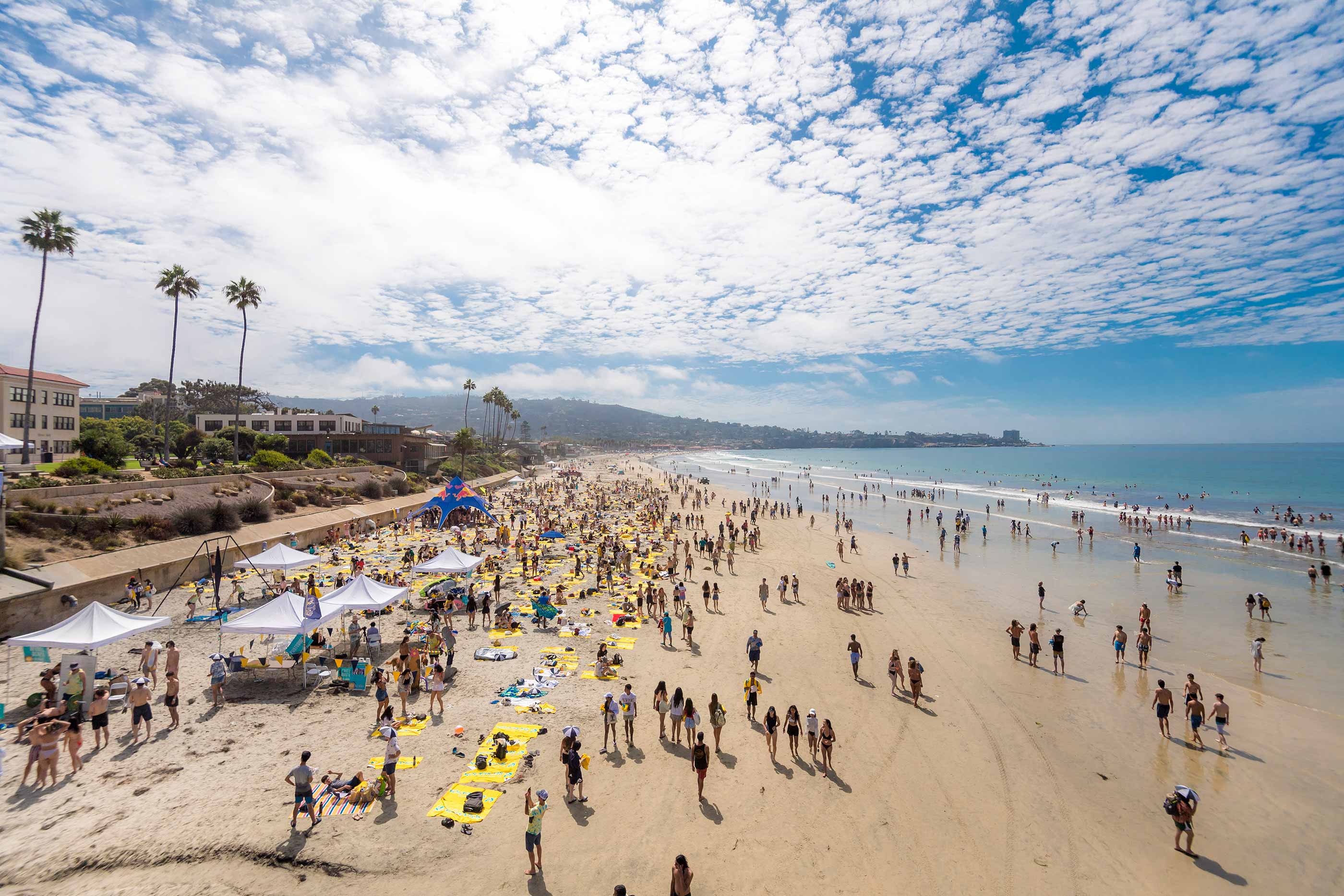 Students gather on beach during Meet the Beach.