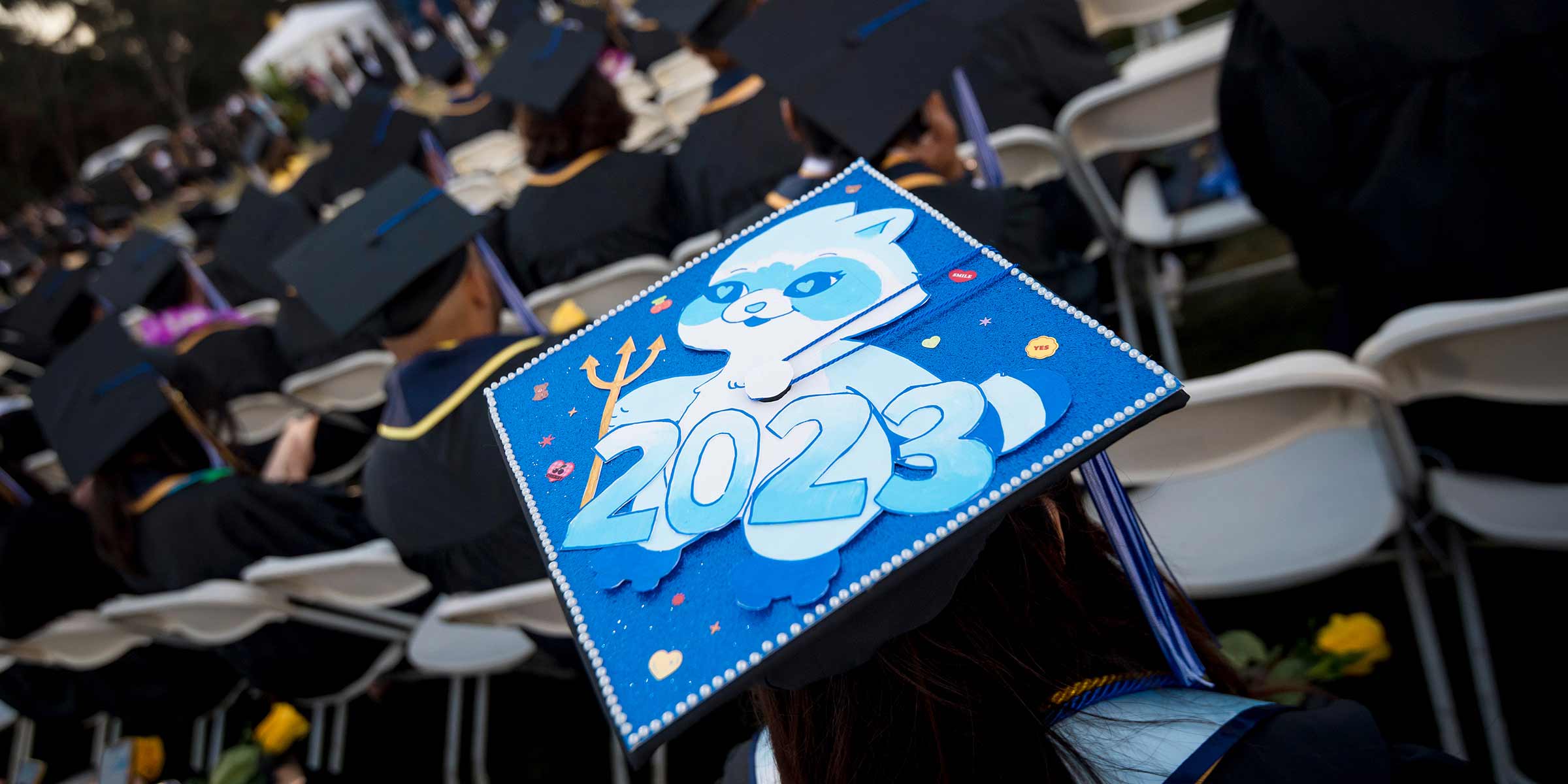 A raccoon holding a Trident was decorated on a graduation hat