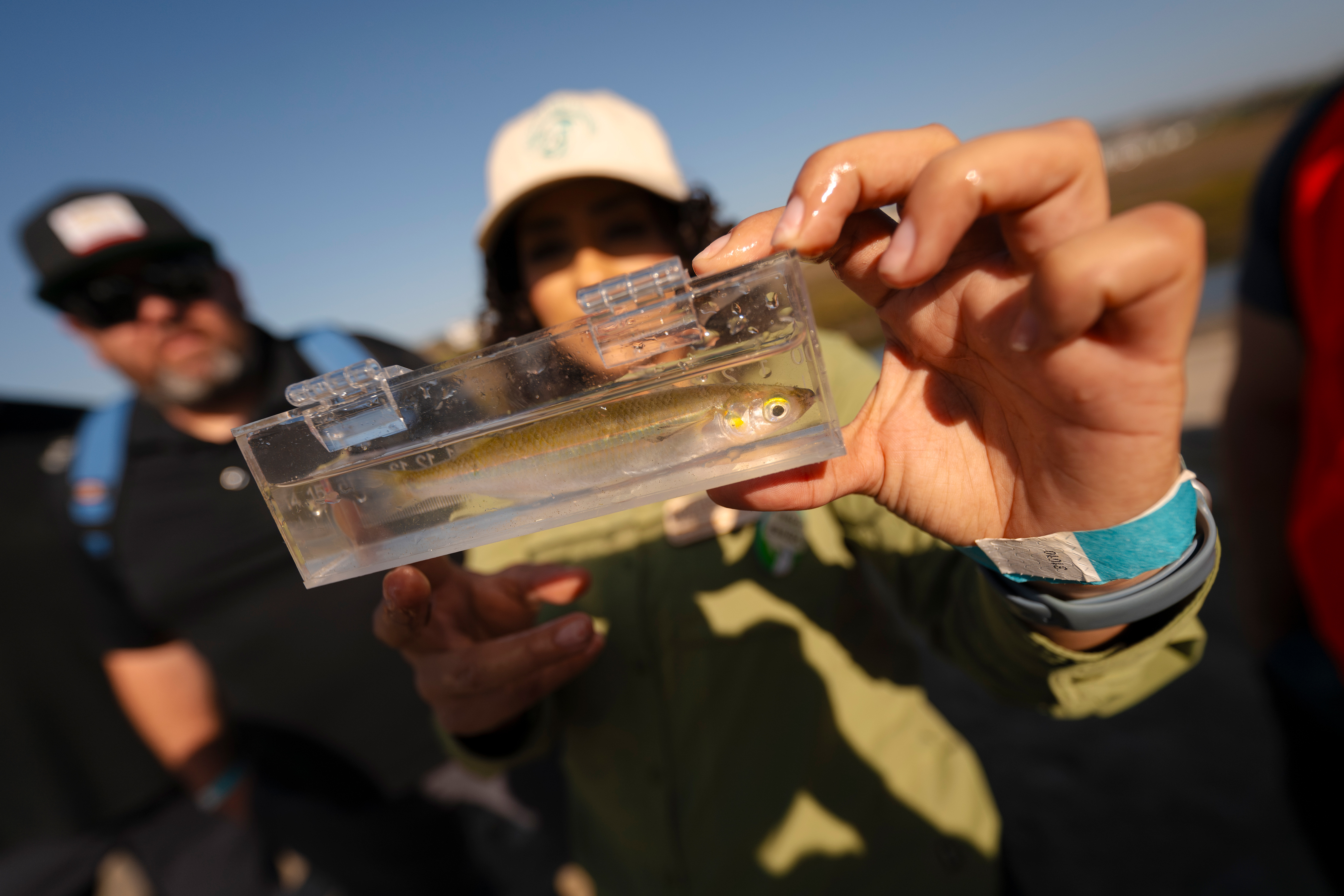 A person holds up a specimen in a clear tube.