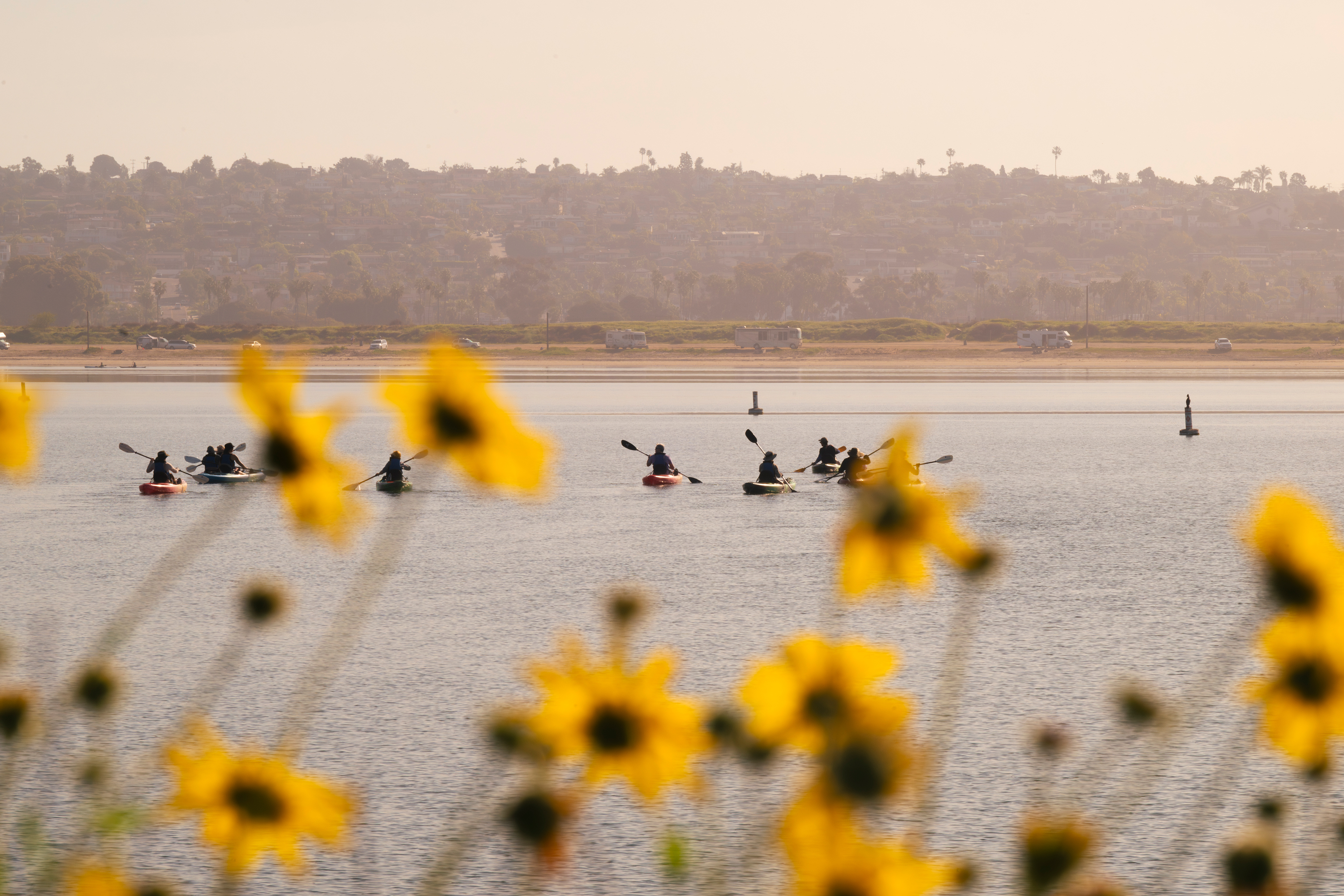 Yellow flowers in the foreground and kayakers in the water beyond.