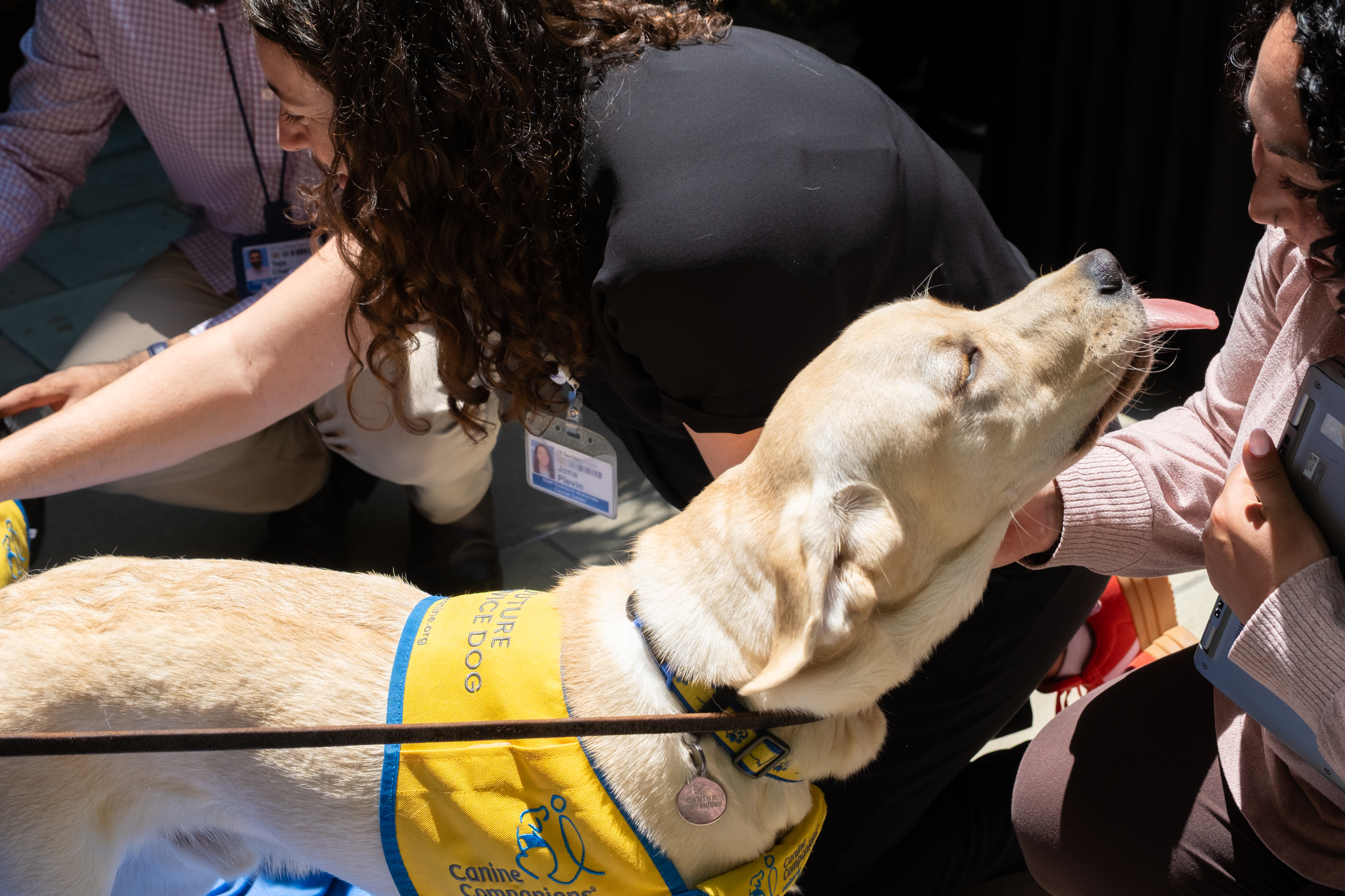 a dog at clinical trials day 
