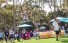 Slideshow: UC San Diego students and their families walk around Sun God Lawn during a breakfast. 