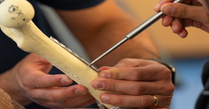 Slideshow: Close up photo of student using tools to place  a rod on a mock bone