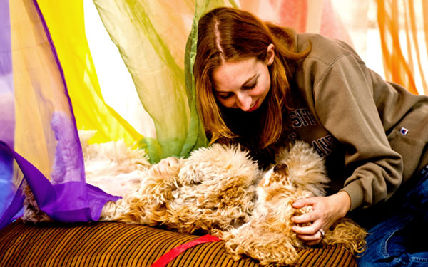 Photo of Therapy Fluffies