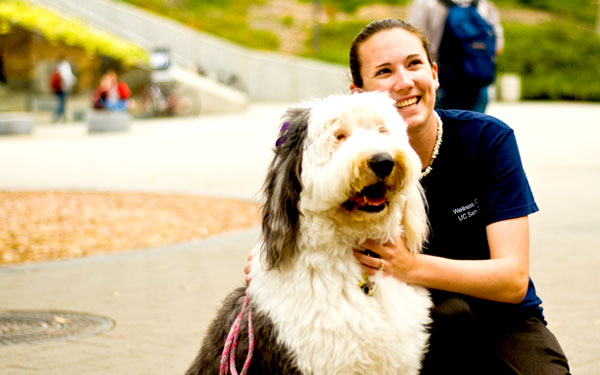 Photo of Therapy Flufwidth=
