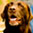 Therapy Fluffies thumbnail