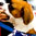 Therapy Fluffies thumbnail