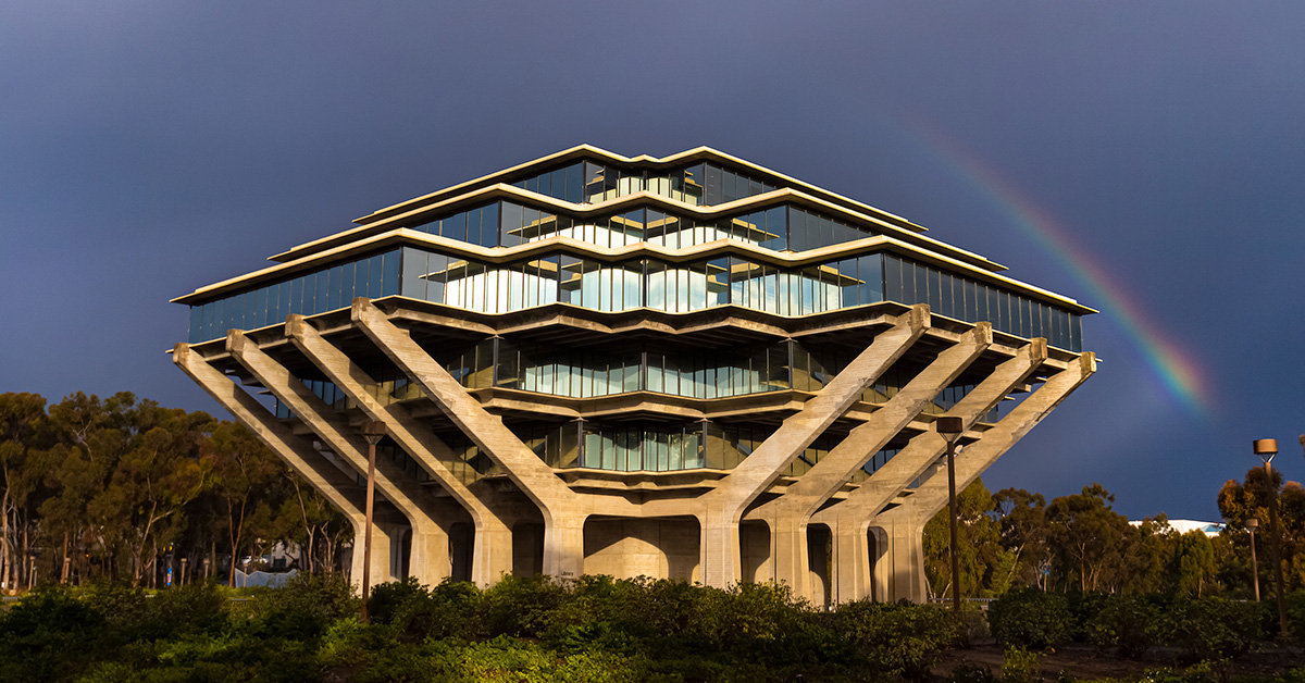 Researchers Operate Lab-Grown Heart Cells by Remote Control