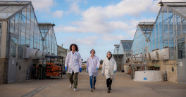 Three researchers in lab coats and protective gear walk through an outdoor research site