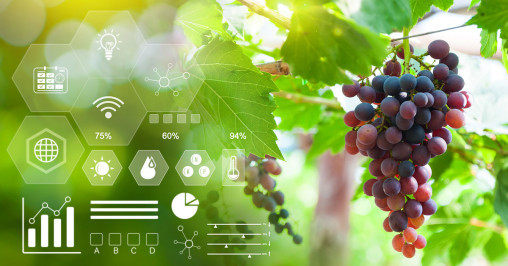 Farm-to-Table via Supercomputer