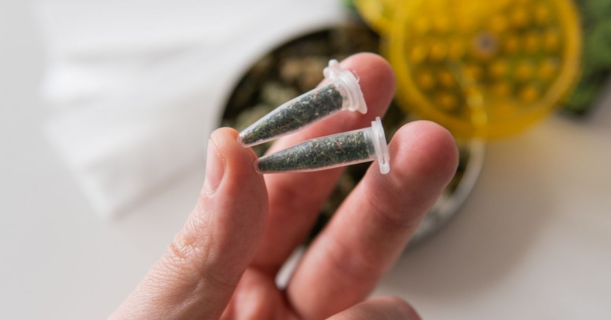 ucsd.edu - Cannabis Microdosing More Common Than Psychedelics Among US Adults, National Survey Finds