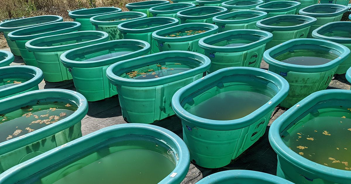 Plastic Pollution Promotes Hazardous Water Conditions, New Study Finds