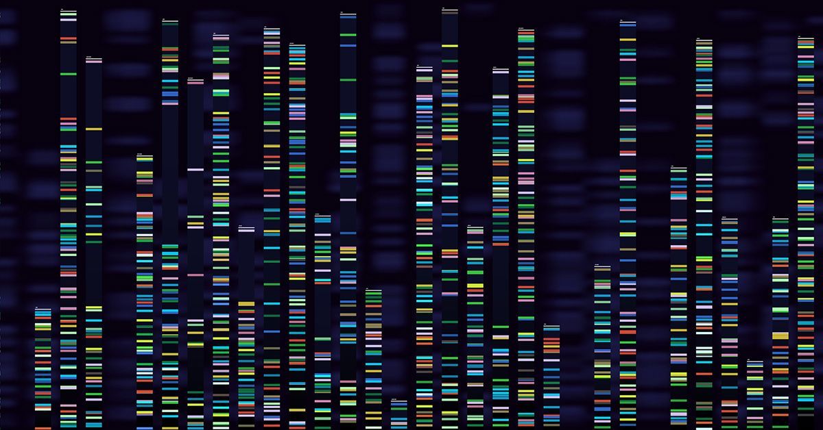 Genetic Map Details the Function of Almost Every Stem Cell Gene