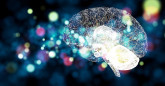 UC San Diego Alumnus Honors Cognitive Science Pioneers with Endowed Chairs