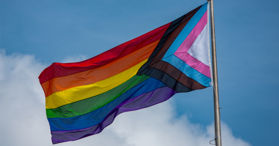 Understanding Substance Use Across the Full Spectrum of Sexual Identity