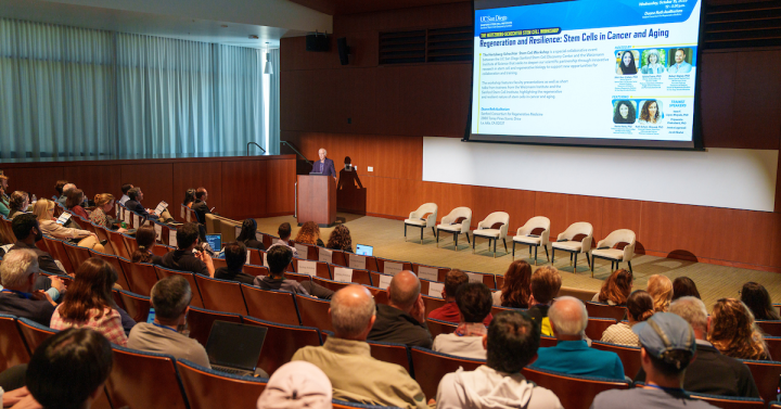 Regeneration and Resilience: How Global Collaboration Advances Stem Cell Science