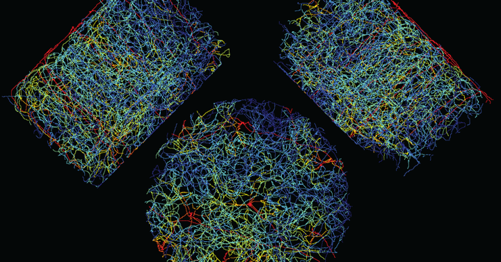 How Does the Brain Control Its Own Blood Flow?