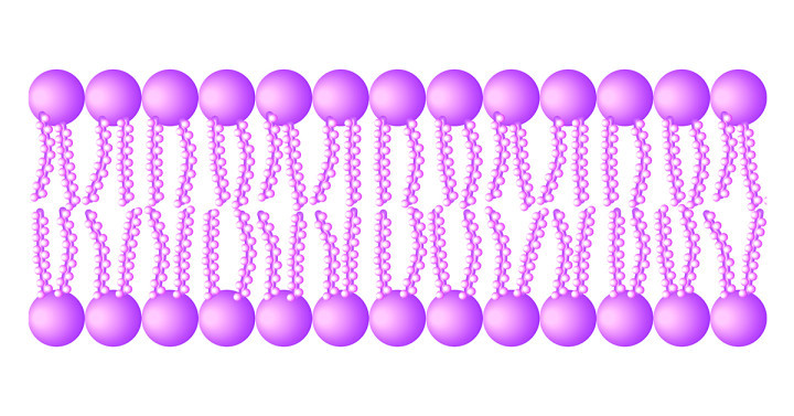 On the Origins of Life: Recreating Cellular Metabolism