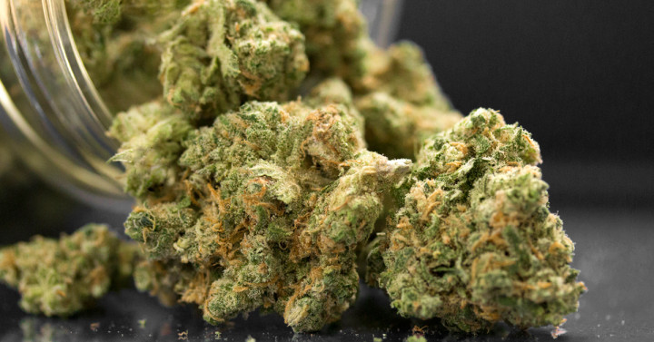 Close up photo of cannabis in jar