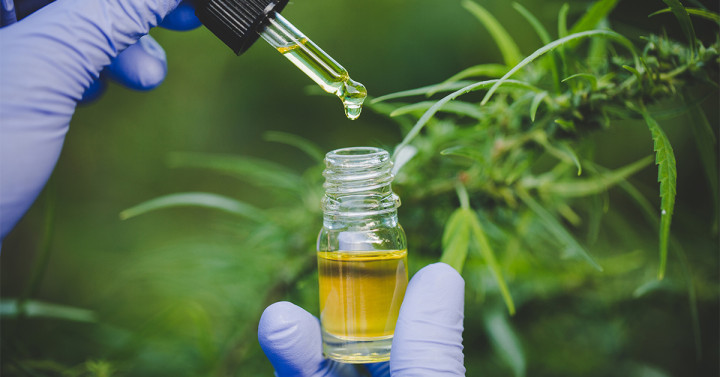 Hands dropping marijuana oil from jar