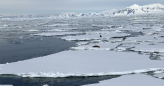 Scripps Scientists in Antarctica Studying Retreating Glaciers, Cancer-Fighting Microbes and More