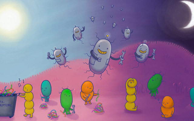 Graphic of gut bacteria